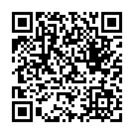 QR code for K381T