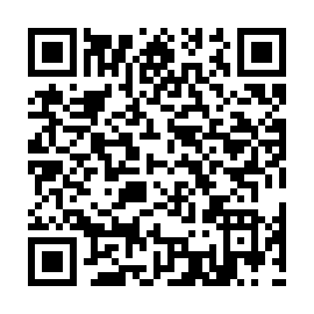 QR code for K383N