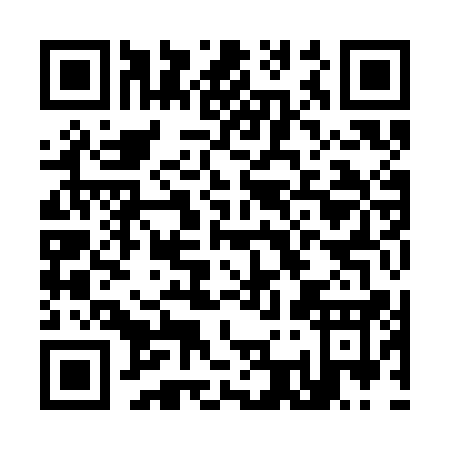 QR code for K393A
