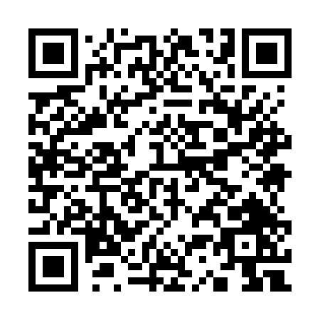 QR code for K397T