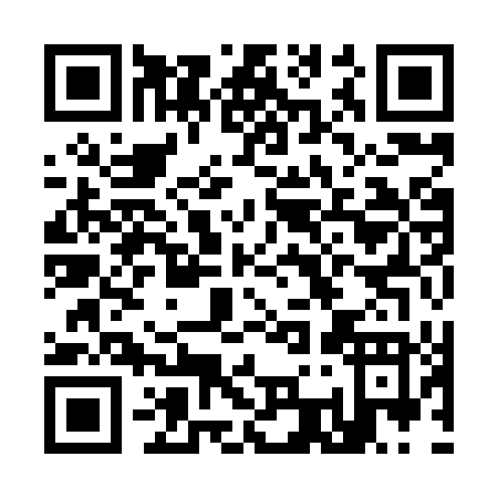 QR code for K398T