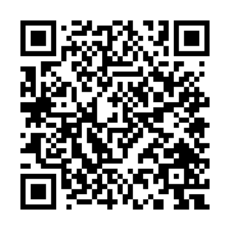 QR code for K452T