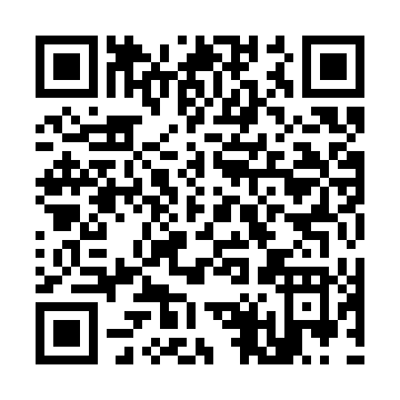 QR code for K493T