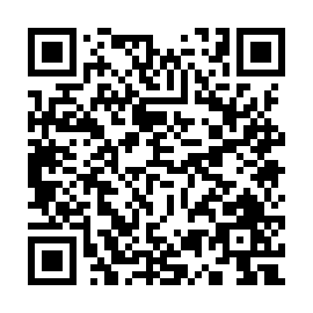 QR code for K519V