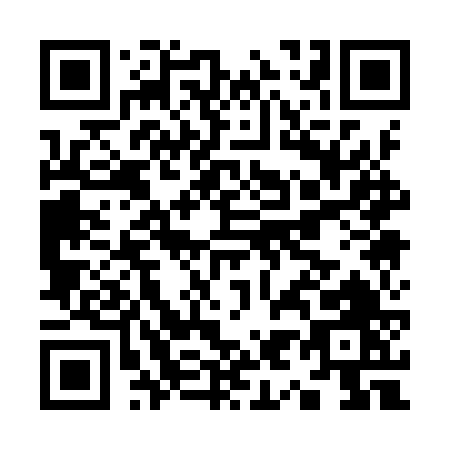 QR code for K919V
