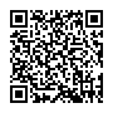 QR code for K991V