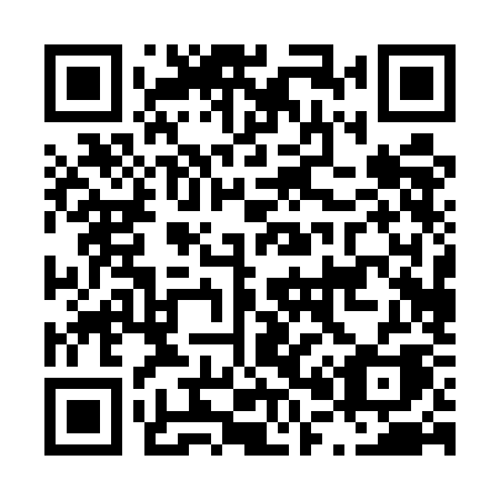 QR code for plate L00 5KA