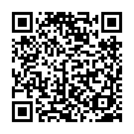 QR code for plate L03 2FI