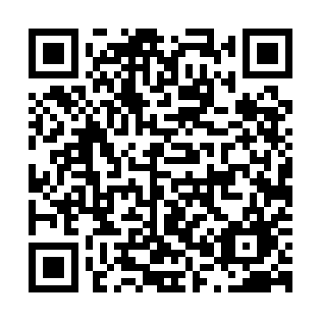 QR code for plate L04 1AG