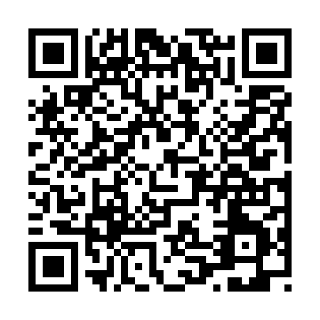 QR code for L065X