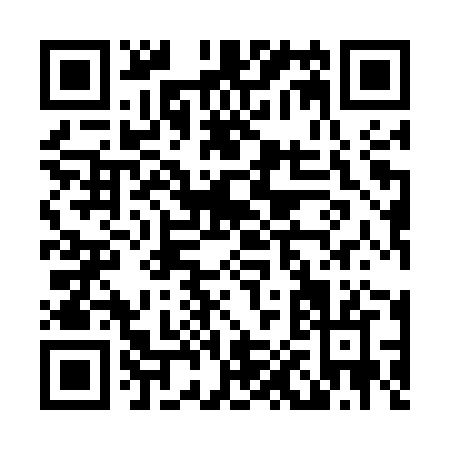 QR code for L095Z