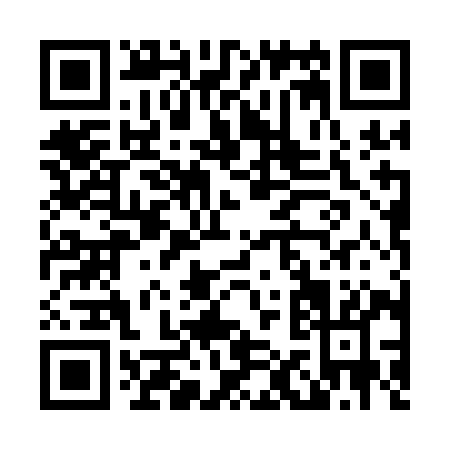 QR code for L101I