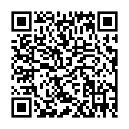 QR code for L133X