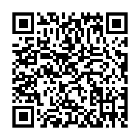 QR code for L154P
