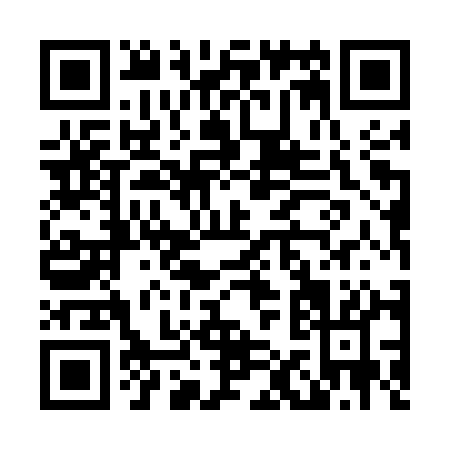QR code for L155Q