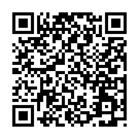 QR code for L161J