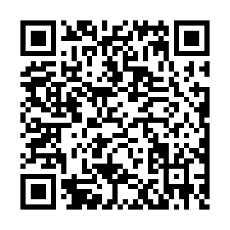 QR code for L163H