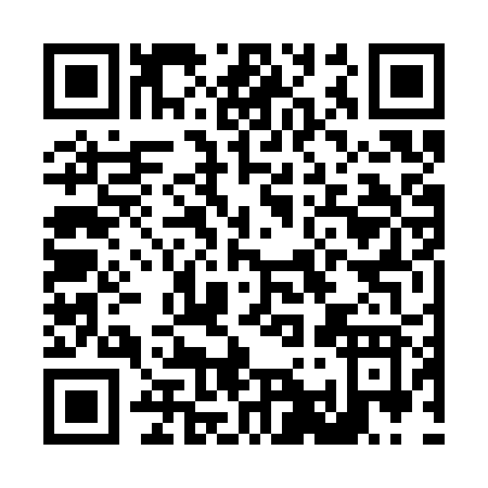 QR code for L163R