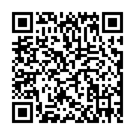 QR code for L163X