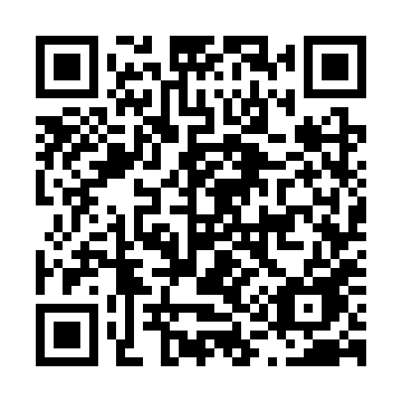 QR code for plate L17 3XE