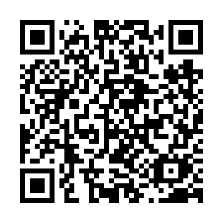 QR code for plate L17 6WM