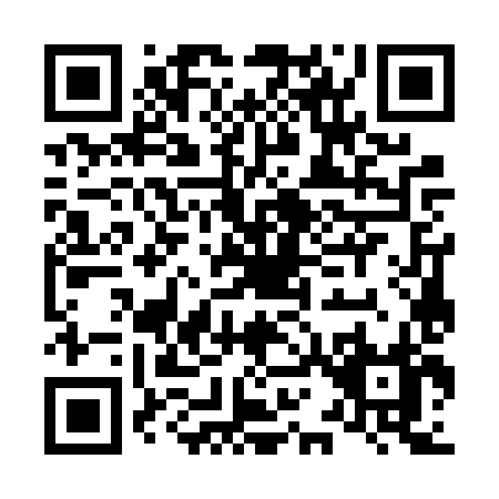 QR code for L176X