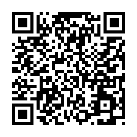 QR code for L197P