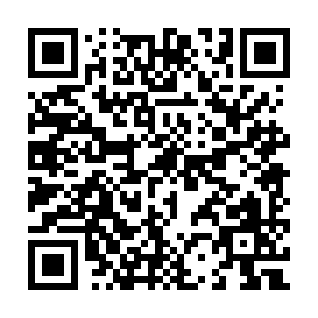 QR code for L206I