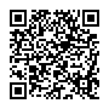 QR code for L207E