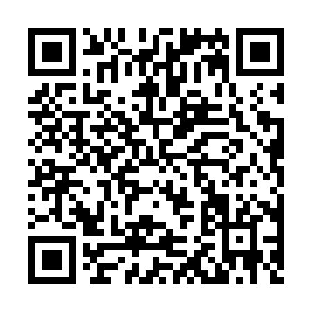 QR code for L207X