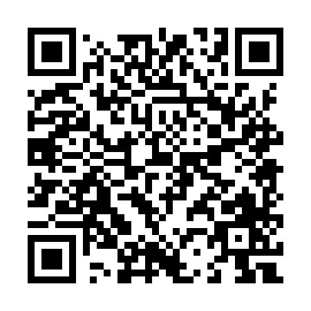 QR code for L209X