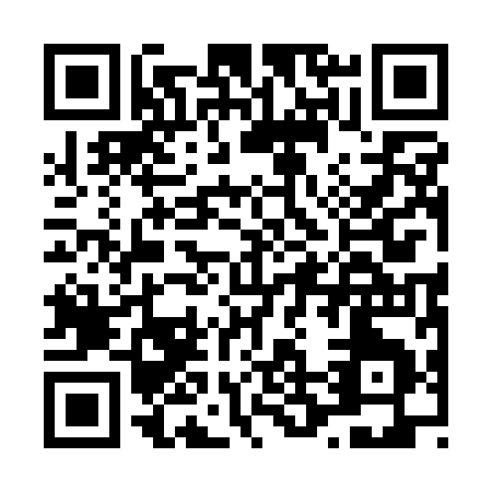 QR code for L211I