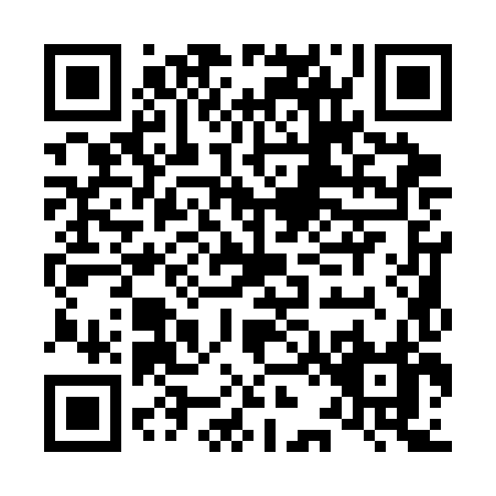 QR code for L213H