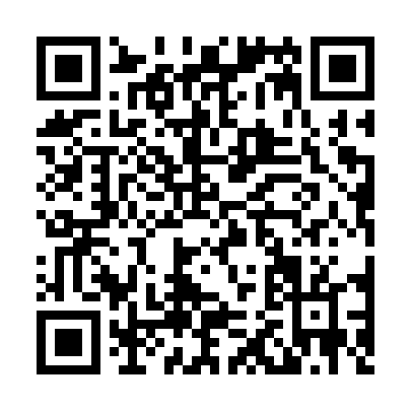QR code for L213T