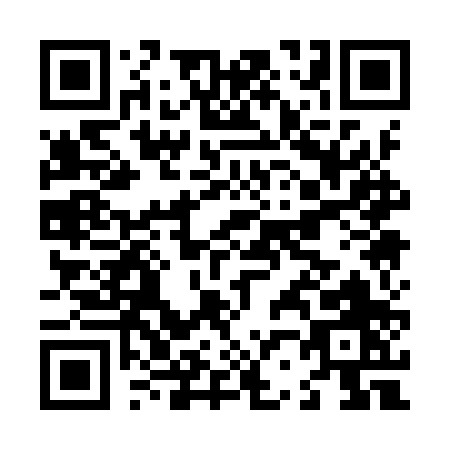 QR code for L219P