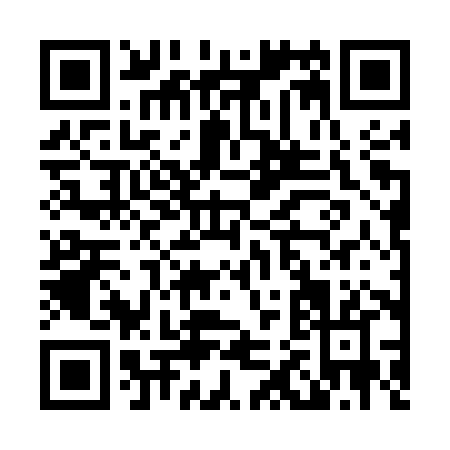 QR code for L225X