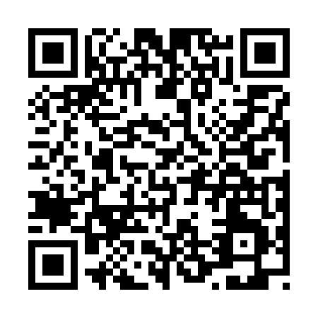 QR code for L227T