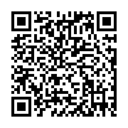 QR code for L228N