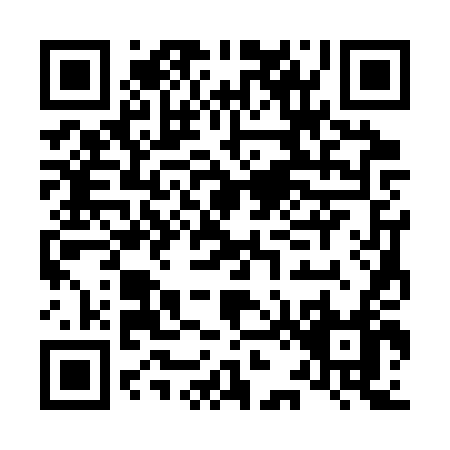 QR code for L233T