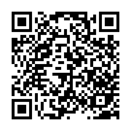QR code for L234H