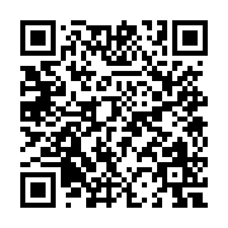 QR code for L234Q
