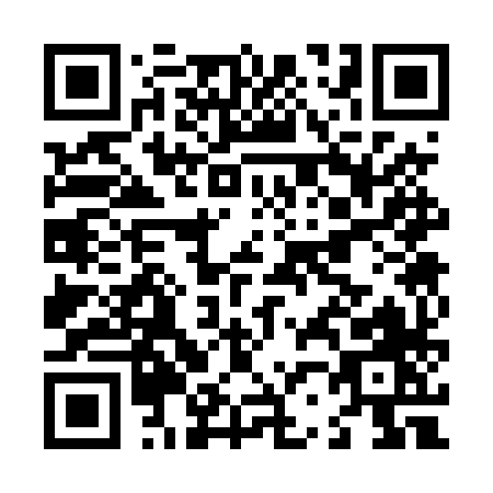 QR code for L234X