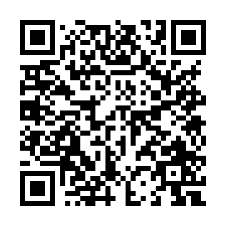 QR code for L238P