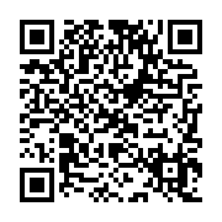 QR code for L248P