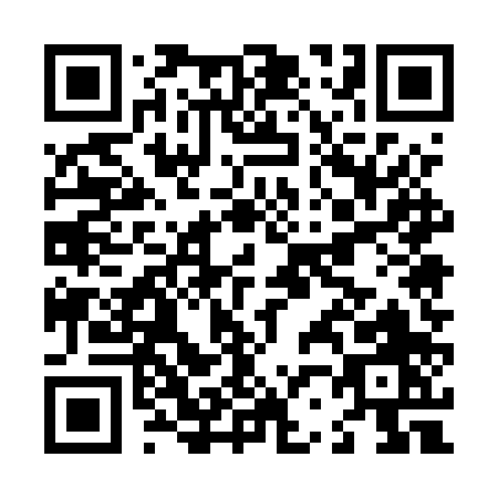 QR code for L255P