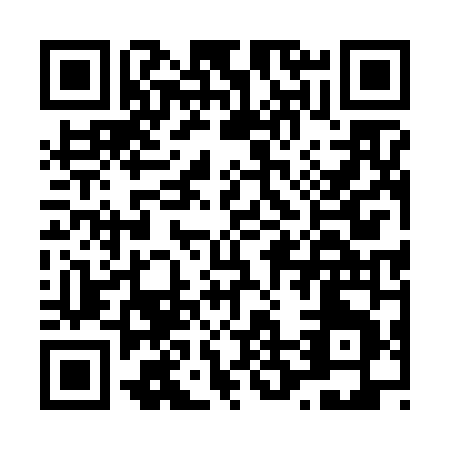 QR code for L256N