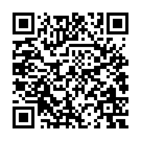 QR code for L263S