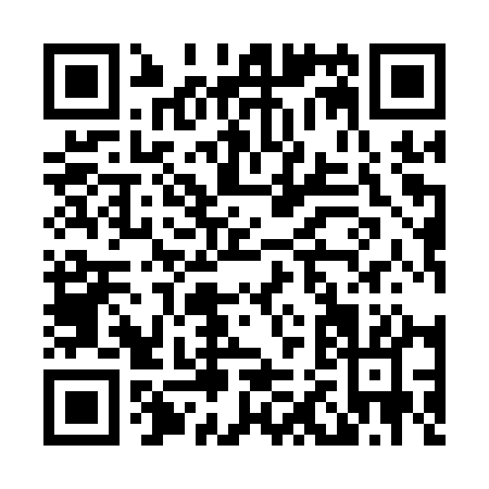 QR code for L291Q