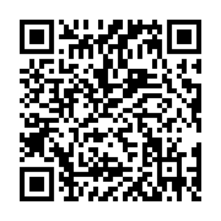 QR code for L293V