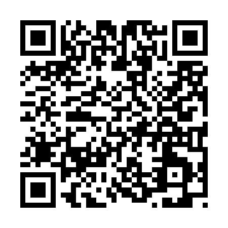 QR code for L294O